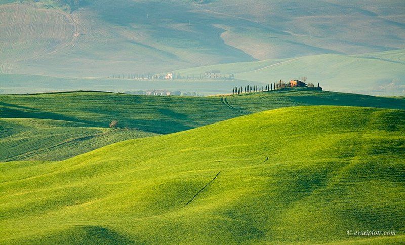 Tuscan spring фото превью