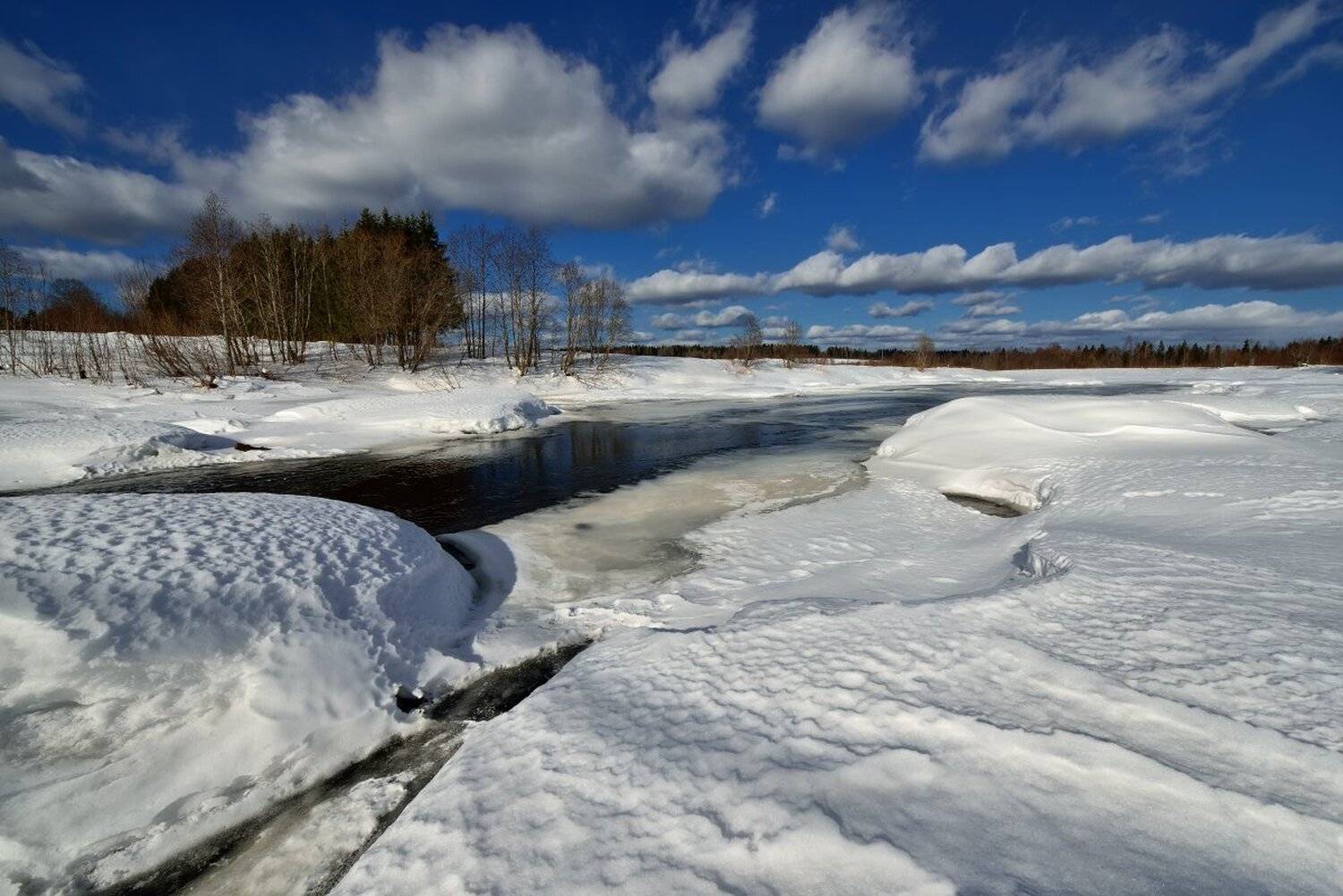 , Максим Евдокимов