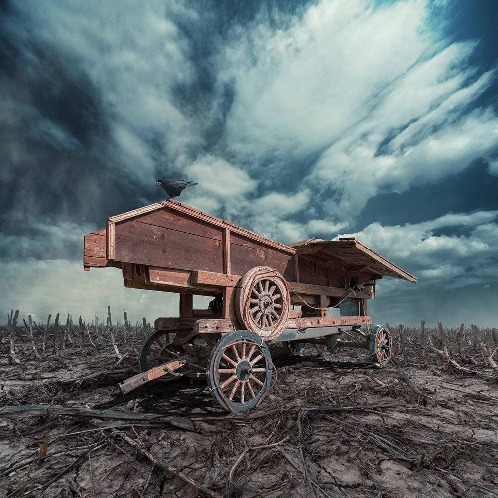 crow, car, cart, psd, tutorials, manipulation, sky, dramatic, clouds, light, shinning, shadow, alone, dray, field, tulips, old, Caras Ionut