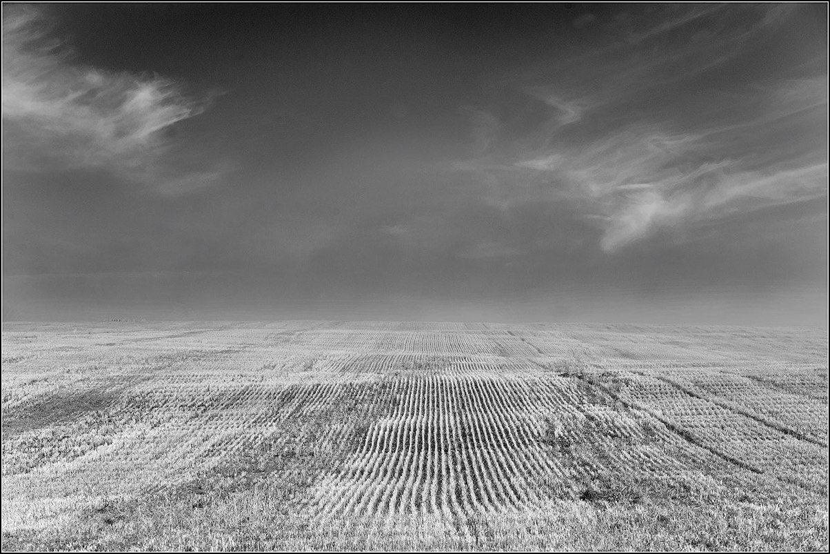 , Кутыгин Эдуард