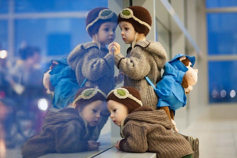 Reflections фото превью