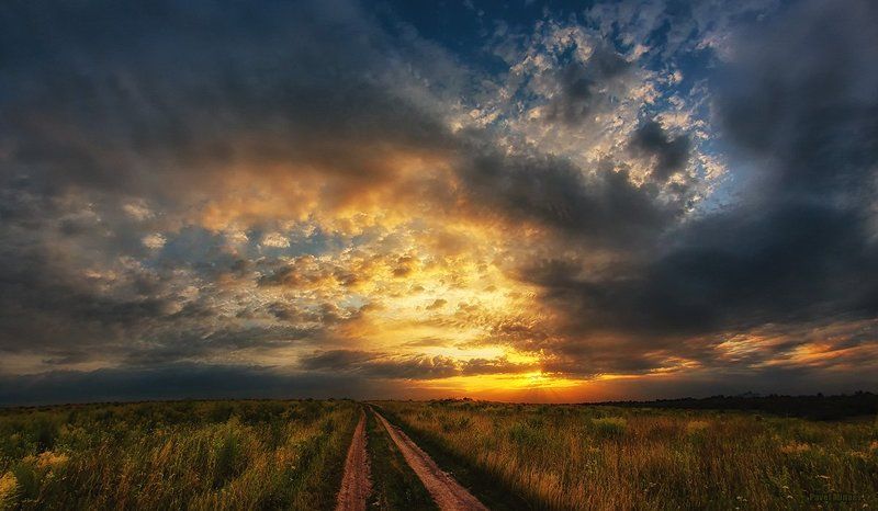 Party in the sky фото превью