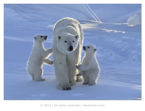 Наша мама лучше всех!