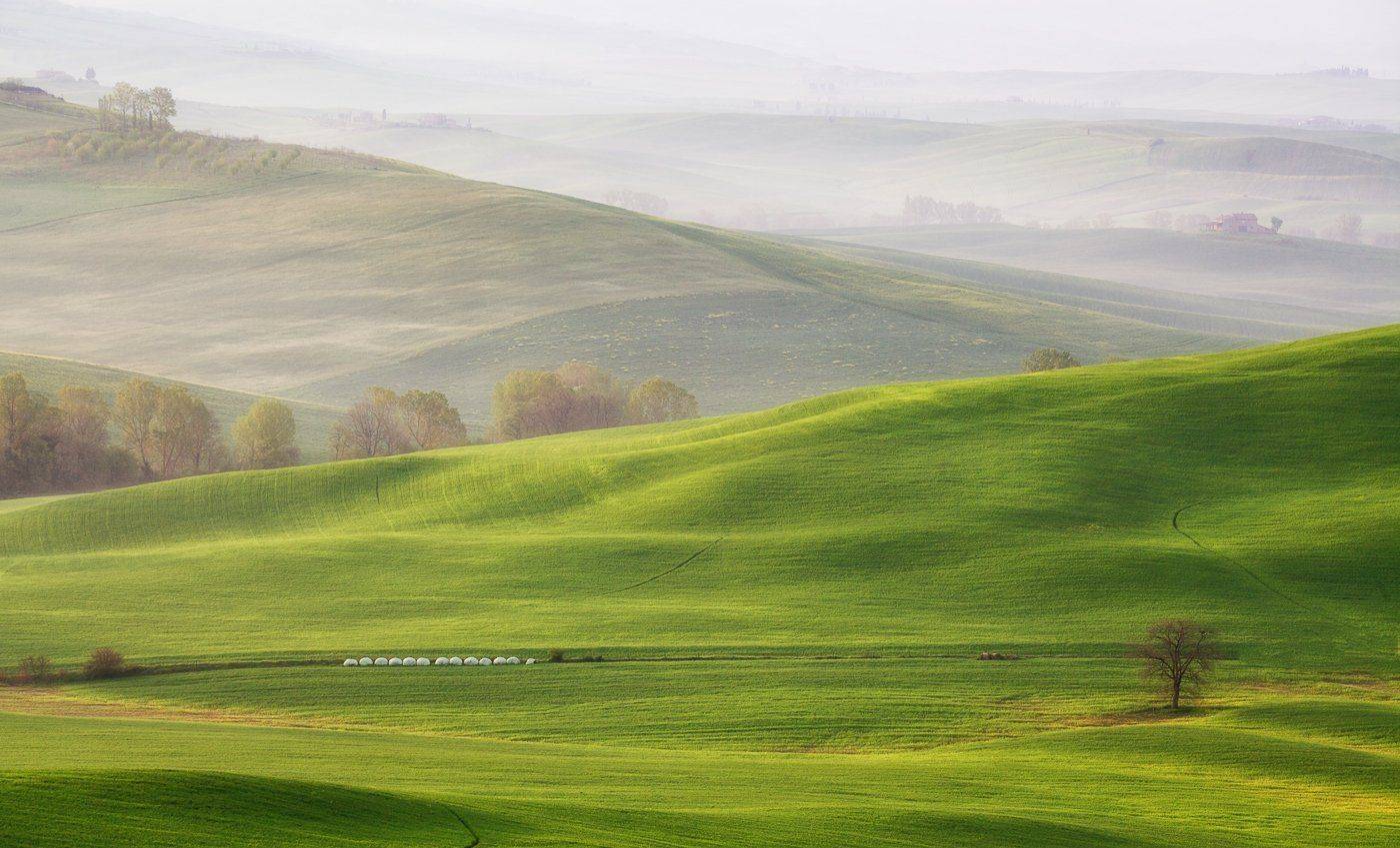 mc, italy, spring, М.