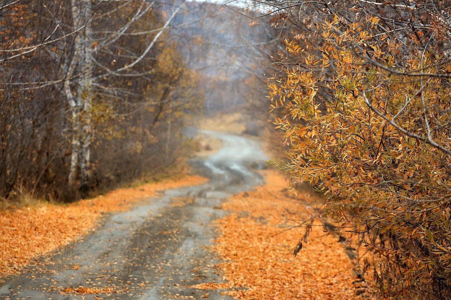 южный урал,оренбургская область, орск, новотроицк,башкирия, башкиртостан, Качурин Алексей