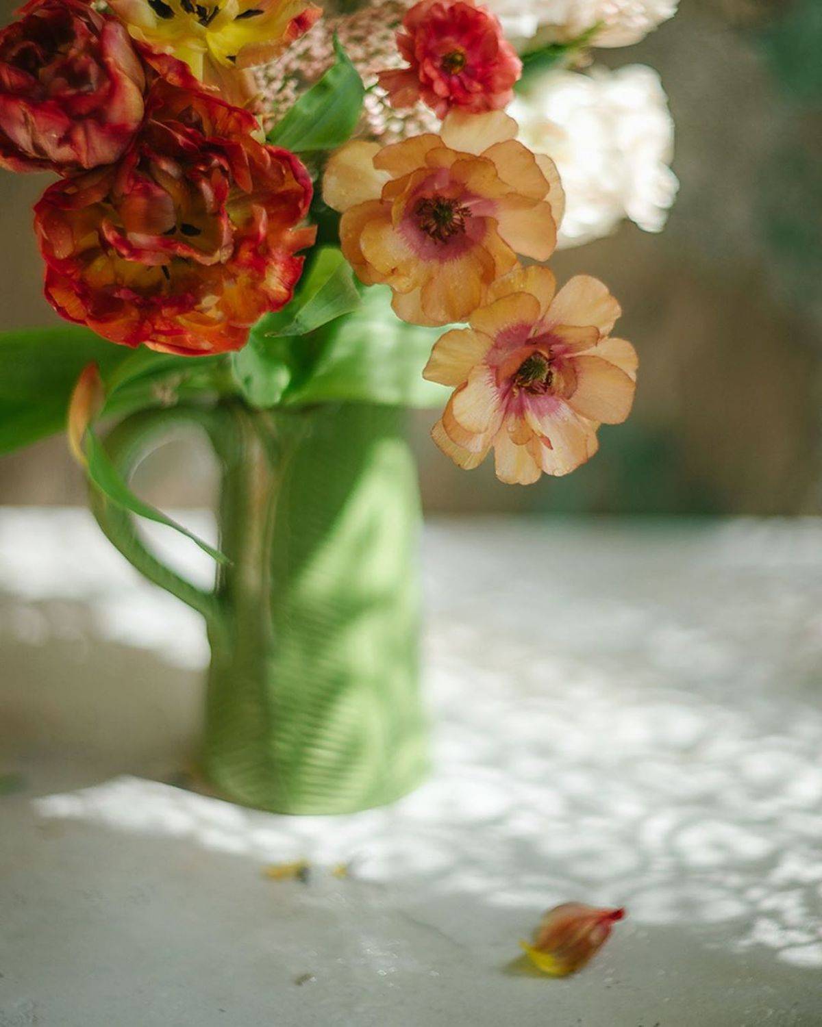 букет, цветы, оранжевый, зеленый, свет, Анастасия Зубкова