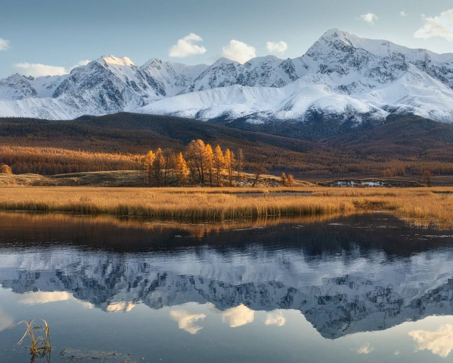 алтай, джангысколь, осень, Дмитрий Медянцев