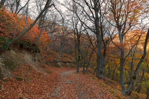 Осенними горными тропинками
