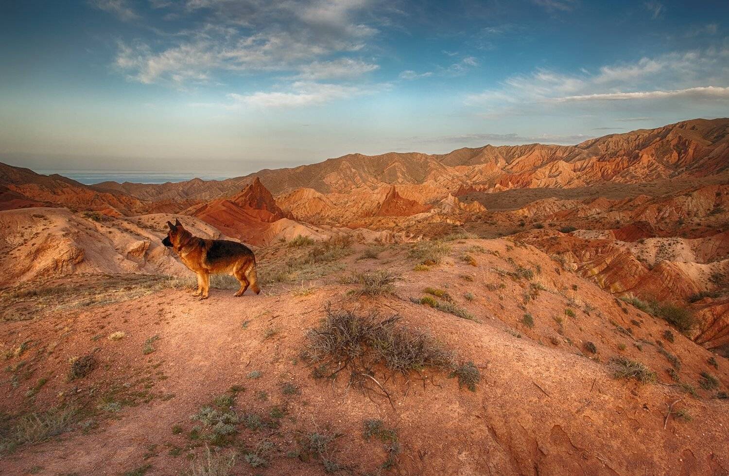 кыргызстан, горы, иссык-куль, Элина Магалимова
