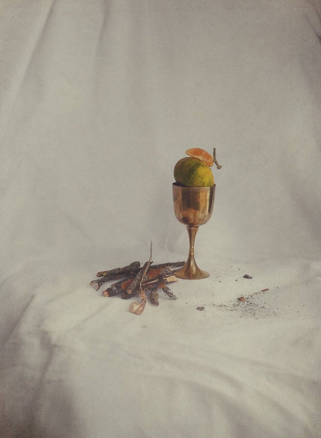 , Надежда Власова