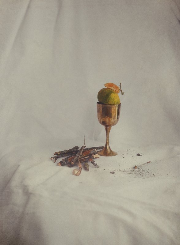 Натюрморт с рюмкой и древесиной фото превью