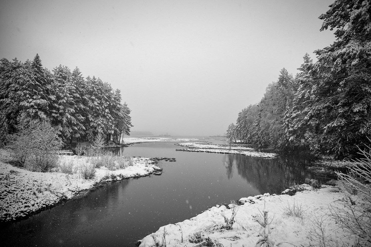 , Владимир Письмак