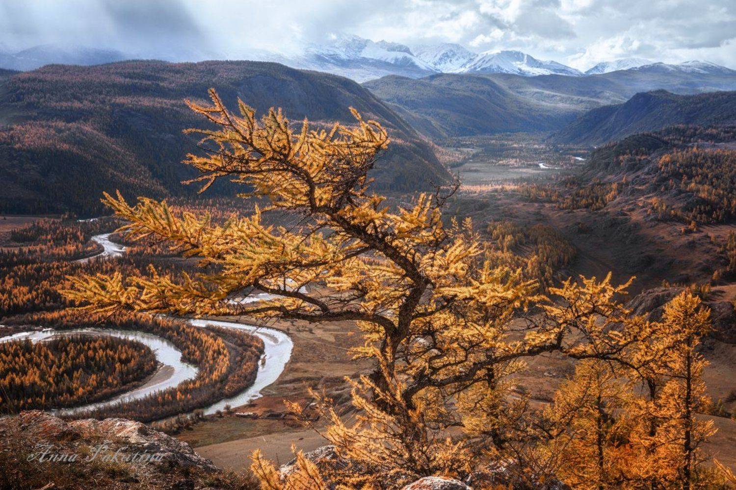 пейзаж, осень, алтай, altai, altay, landscape, Анна Пакутина
