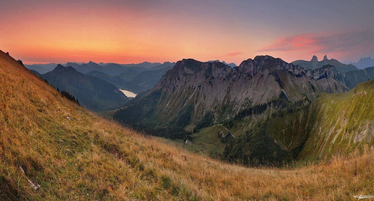 swiss, Матвеев Николай