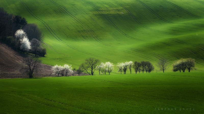 моравская тоскана,пейзаж,чехия,zanfoar,czech republic,czechia,nikon d750,landscape, Моравская Тоскана .... фото превью
