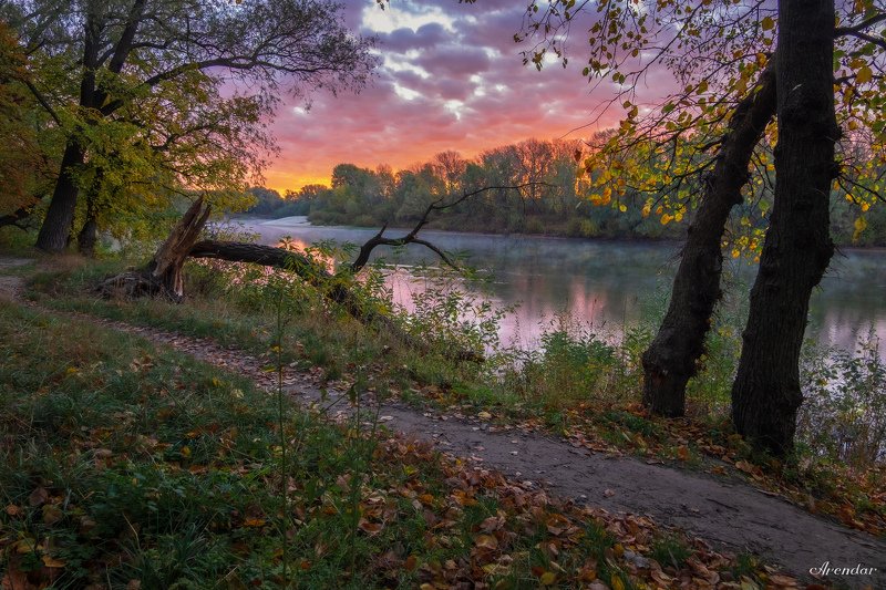 Осенняя мелодия фото превью