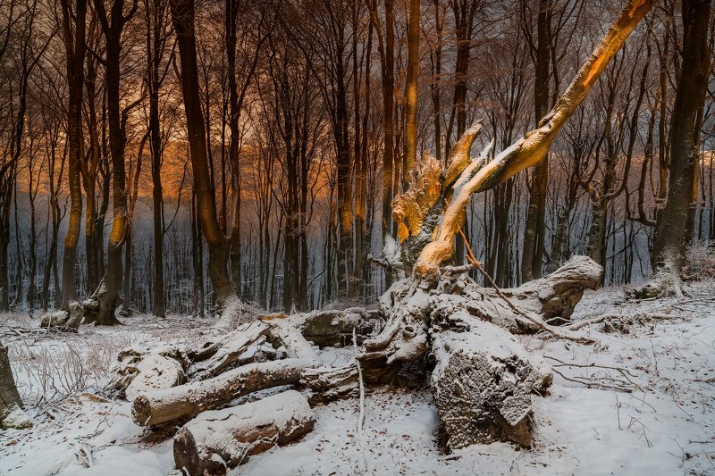 Happy ... фото превью