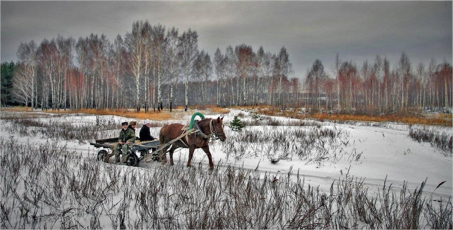 , Сергей Никсон