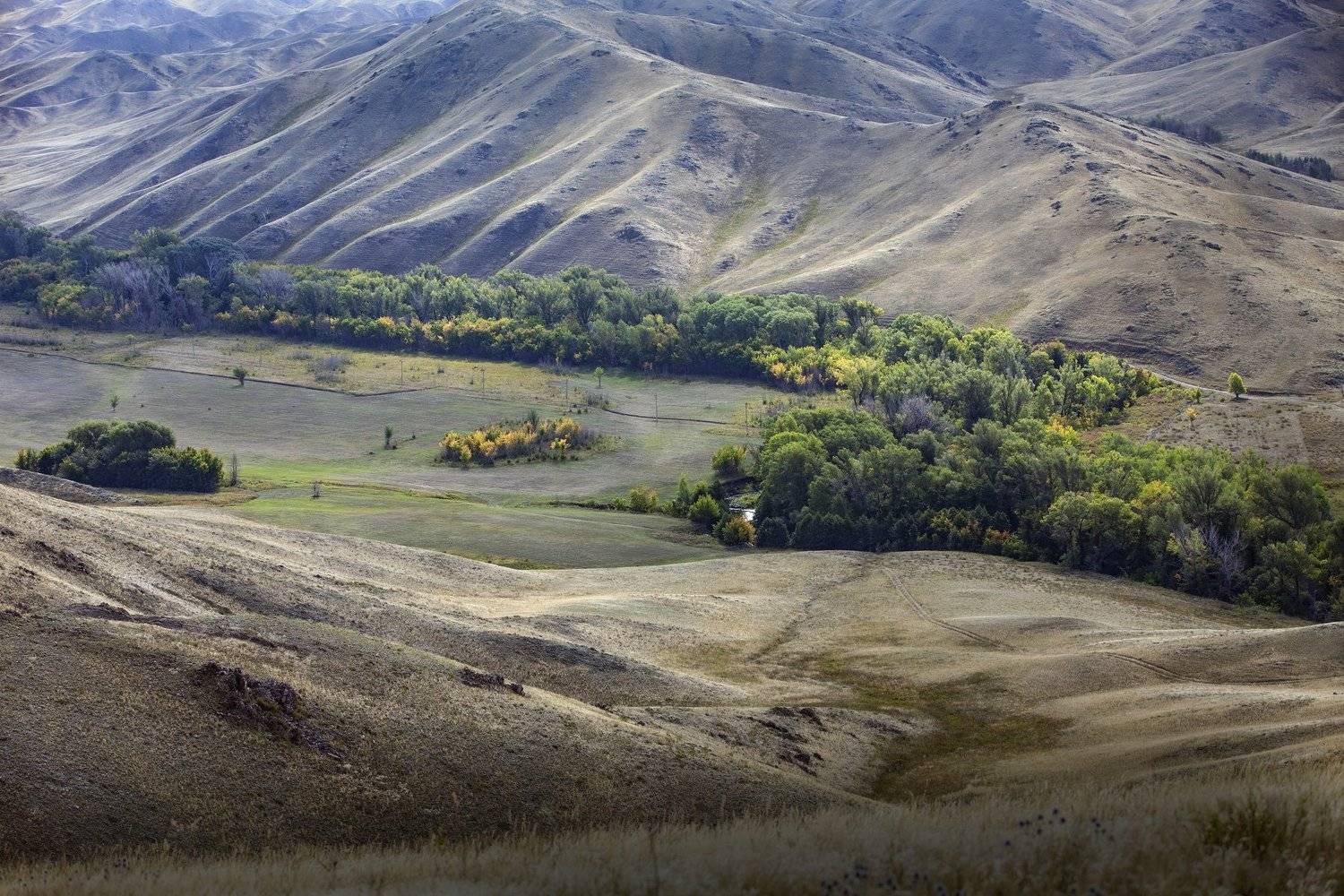 , петр чиков