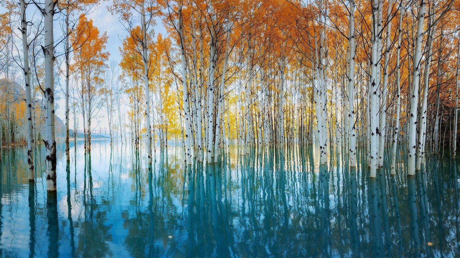 canada, rockies,, Evgeny Chertov