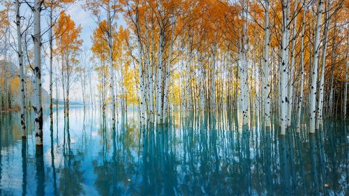 ЗЕРКАЛО ОСЕНИ