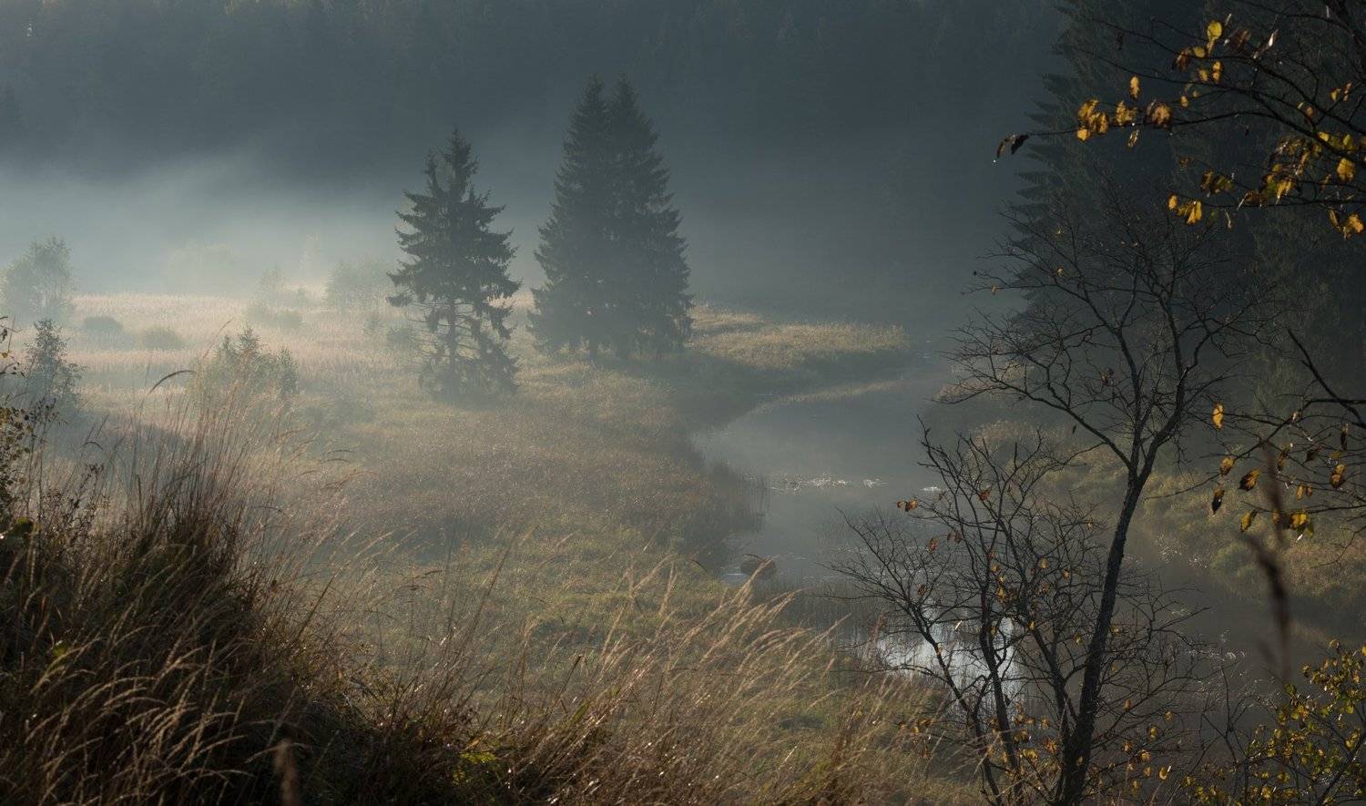 , Роман Фабричный