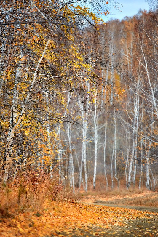 южный урал,оренбургская область, орск, новотроицк,башкирия, башкиртостан Осенняя фото превью