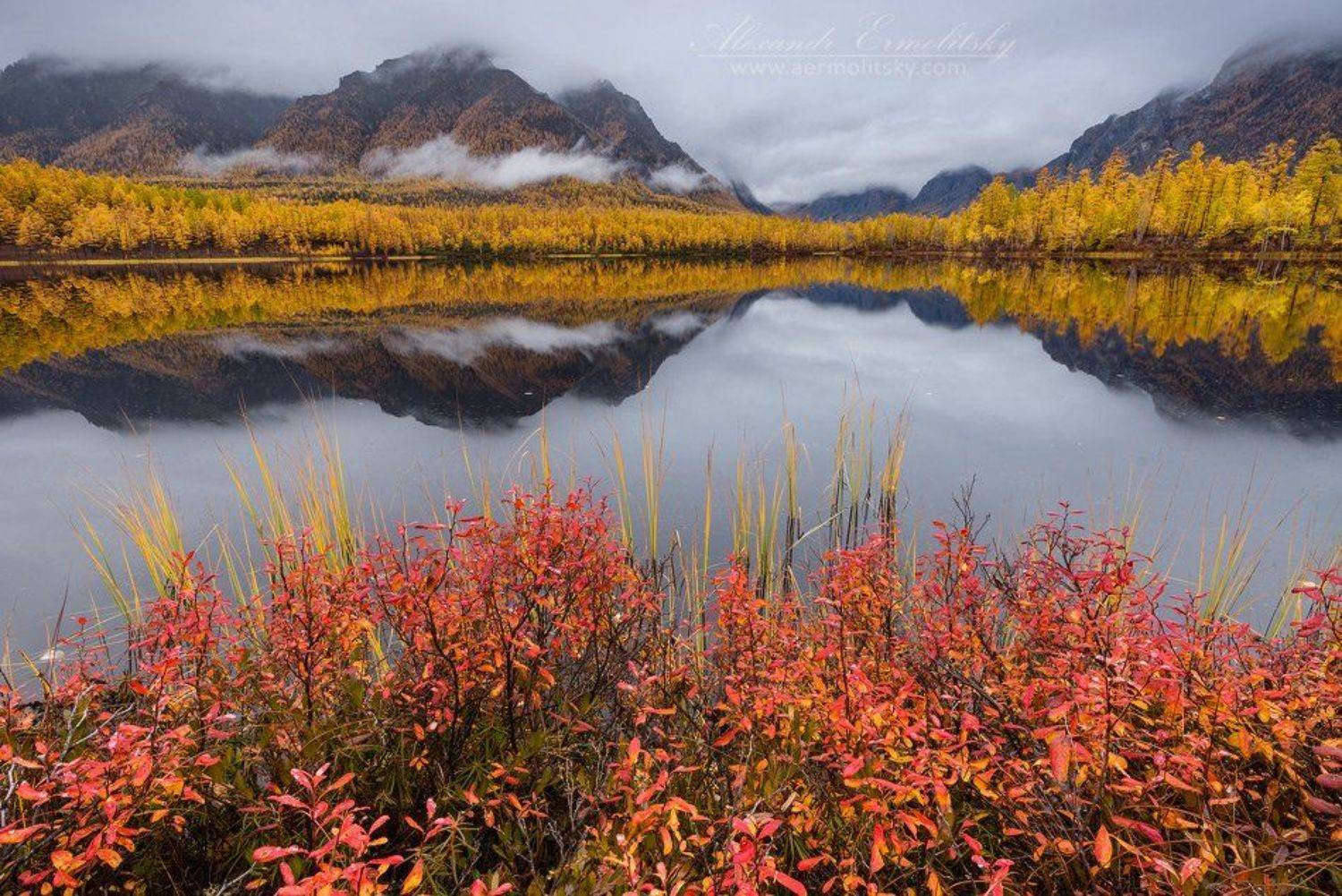 забайкалье, кодар, Александр Ермолицкий
