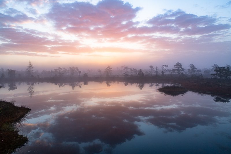 Wild things фото превью