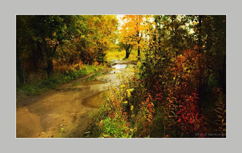 пейзаж солнечная дорога. 2020 фото превью