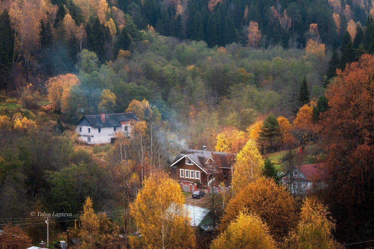 плёс,россия,золотая осень красота, Юлия Лаптева