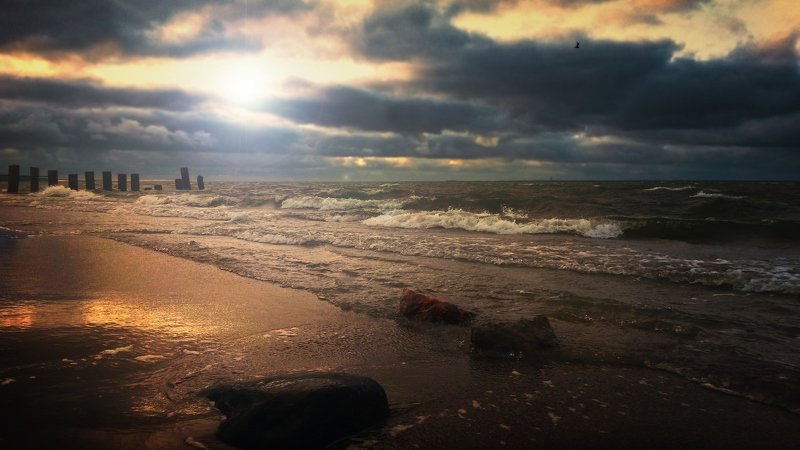 Залив фото превью