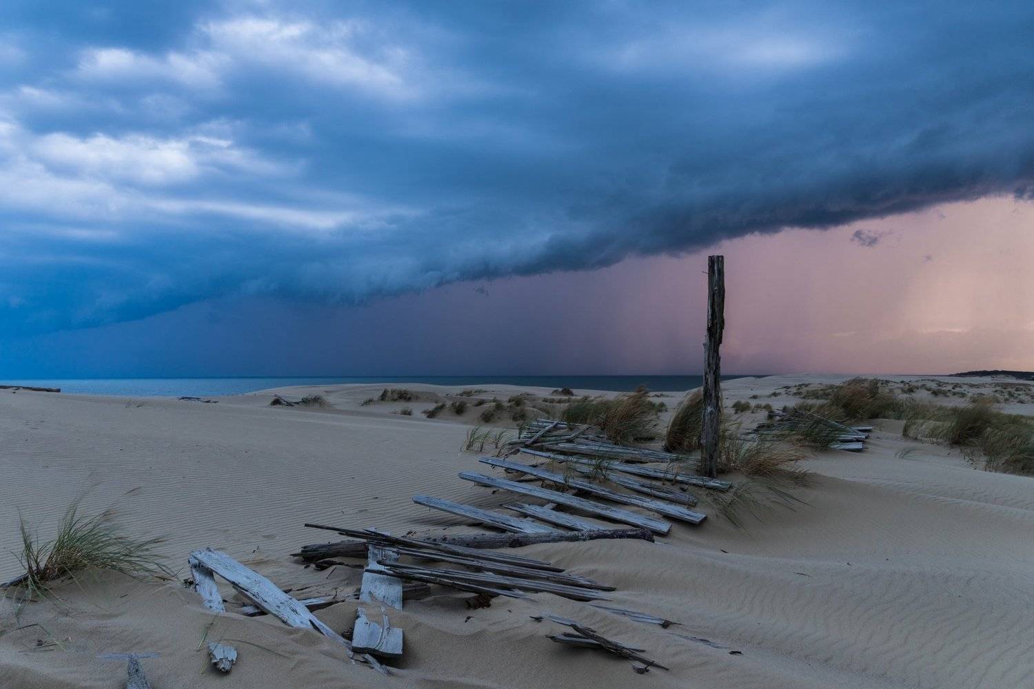 , Татьяна Рутковская