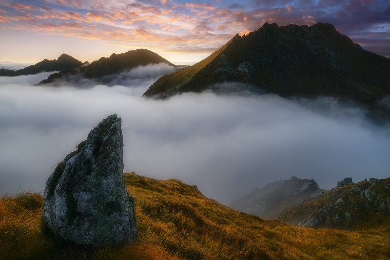 Overwhelming white фото превью