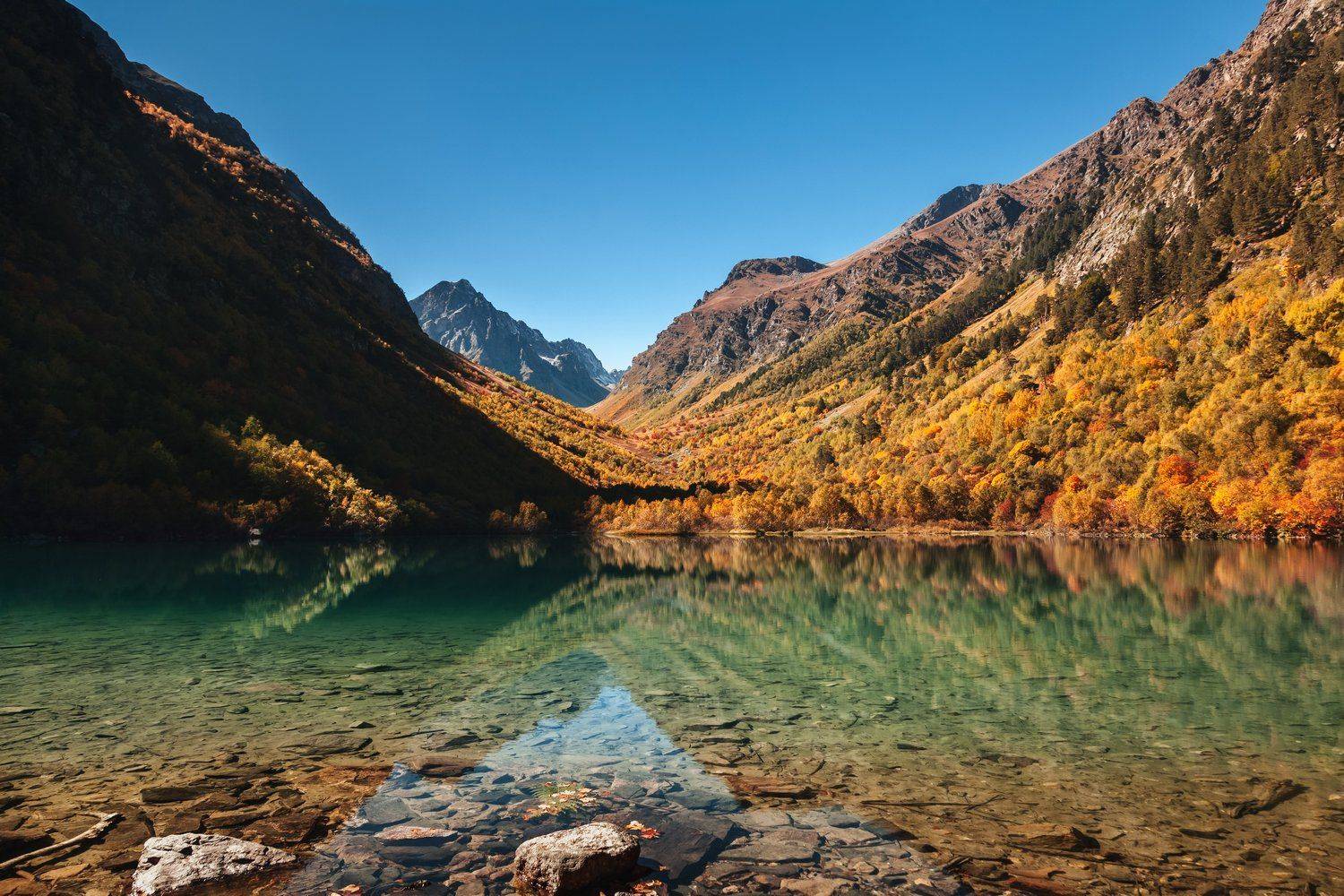 , Элина Хван