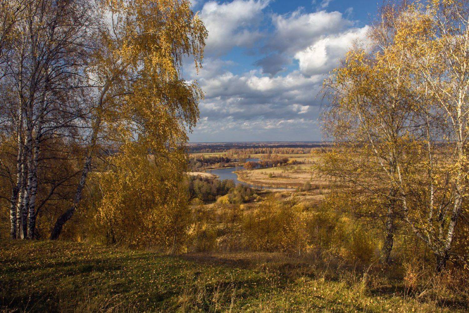 осень клязьма вязники быковка, Дмитрий Алексеев