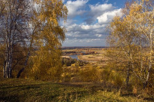 Роняет осень лист березы