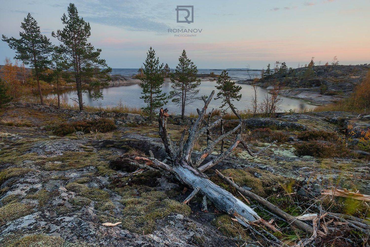 карелия россия вечер закат сосны деревья оеро ладога шхеры залив бута вода море мох скала камни, Валерий Романов