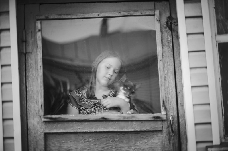 лето дети собака монохром жанр *** фото превью