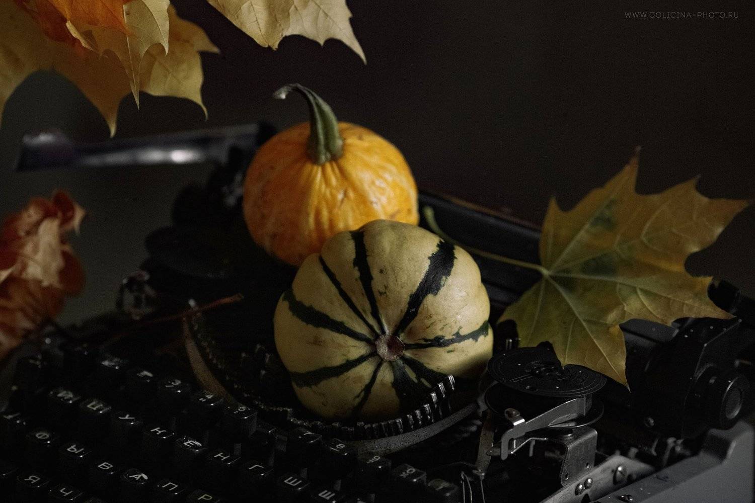 тыквы машинка писатель, Svetlana Golicyna