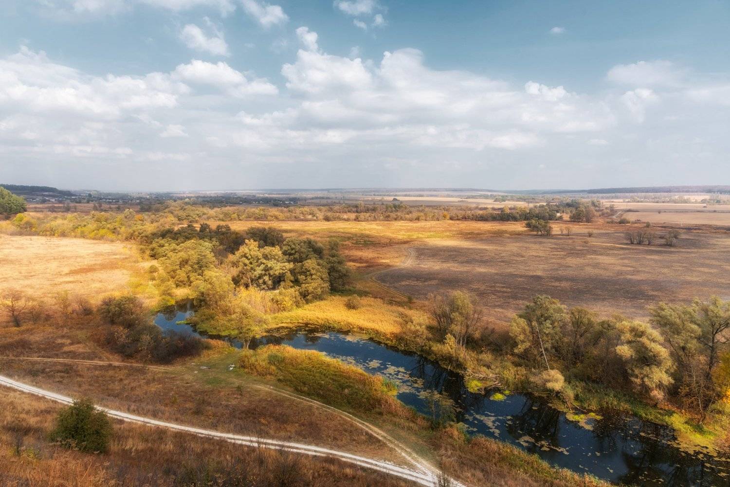 река корень, осень, Александр Литвишко