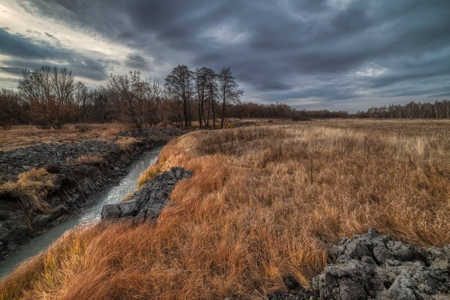, Влад Шерман