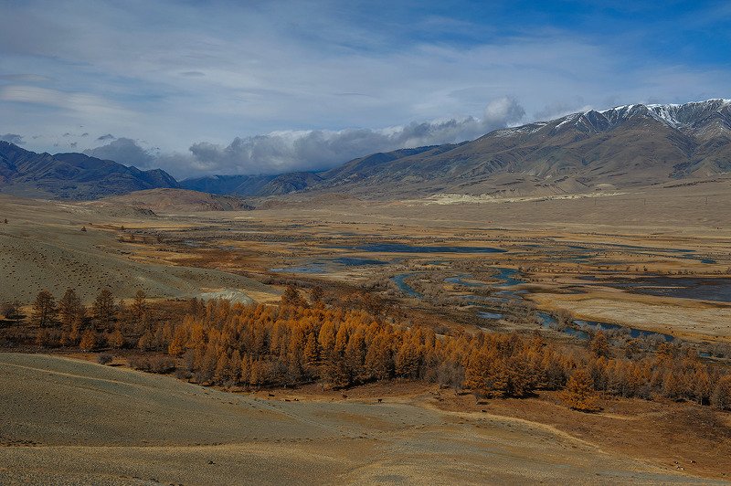 1-Ортолык. 2-Курай. фото превью