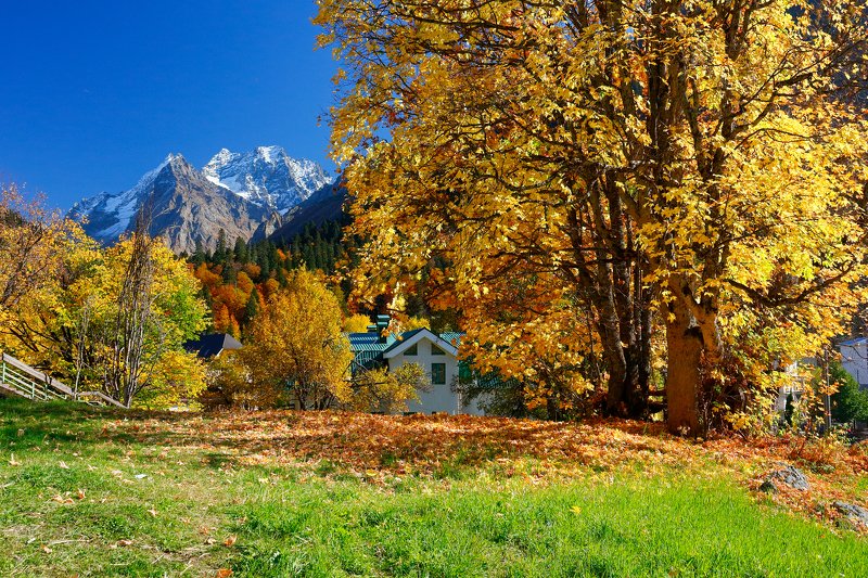 домбай, осень, горы, кчр, Домбай фото превью