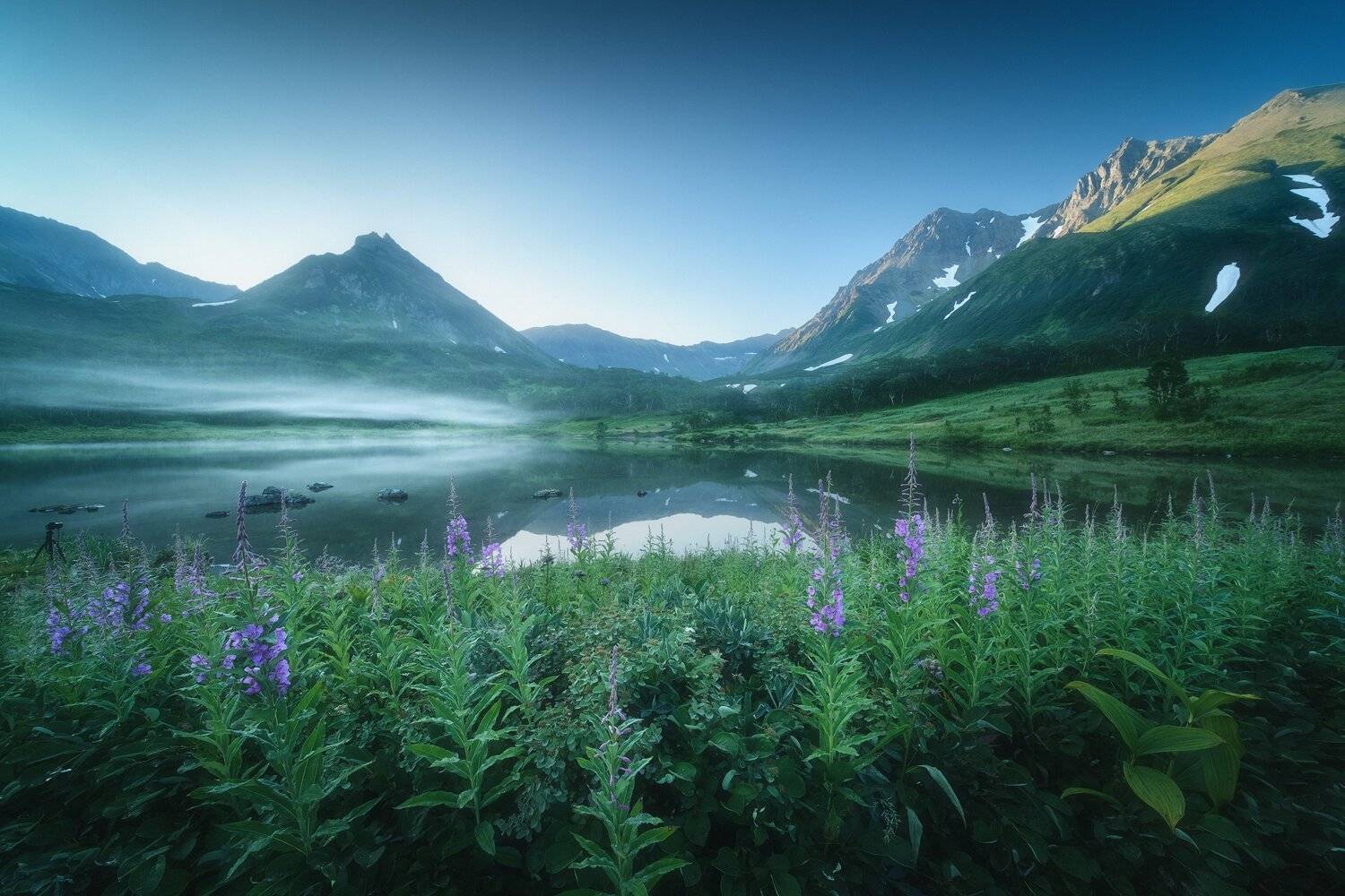 россия, камчатка, камчатский край, дальний восток, озеро, природа, пейзаж, лето, горы, долина, цветы, рассвет, вачкажец, вулкан, токхолок, туман, Оборотов Алексей