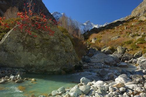 Рябина в горах
