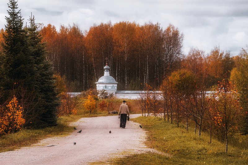 псков, монастырь, россия, крыпецкий, осень Осень в Крыпецком монастыре... фото превью