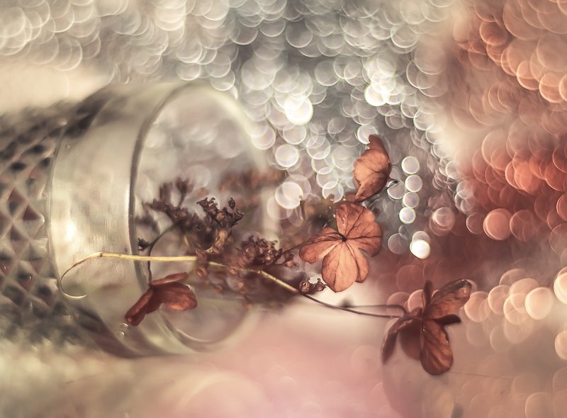 Autumn фото превью