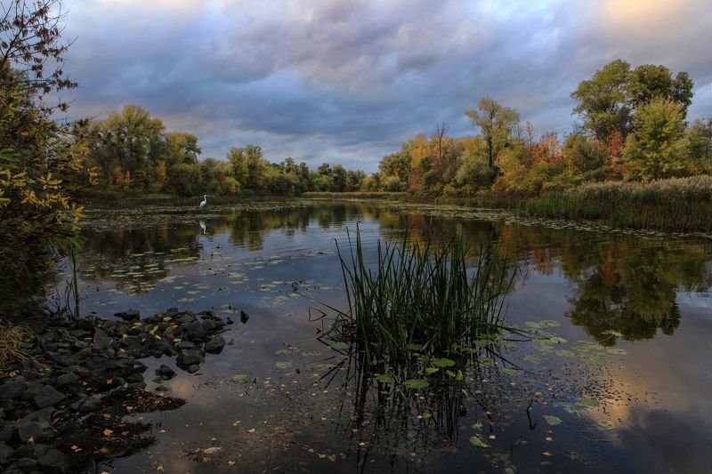 Царство осени фото превью