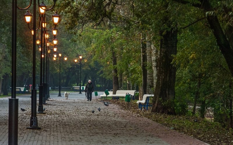 Осенним утром в парке фото превью